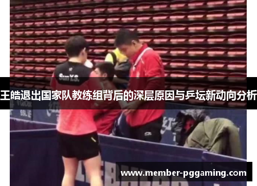 王皓退出国家队教练组背后的深层原因与乒坛新动向分析